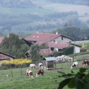 Le hameau de la Prade - dans une vallée, au cœur du Royans, un hameau
