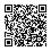 qrcode:https://www.atelierdamascene.fr/741