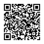 qrcode:https://www.atelierdamascene.fr/309