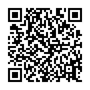 qrcode:https://www.atelierdamascene.fr/209